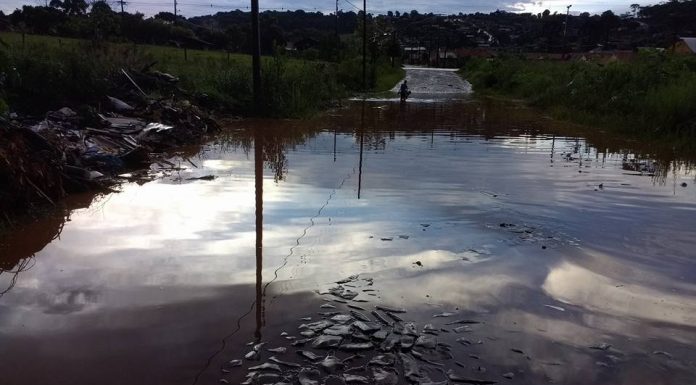 Chuva causa danos em Coronel Vivida