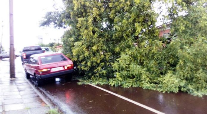 Chuva provoca alagamentos e queda de árvores em Pato Branco