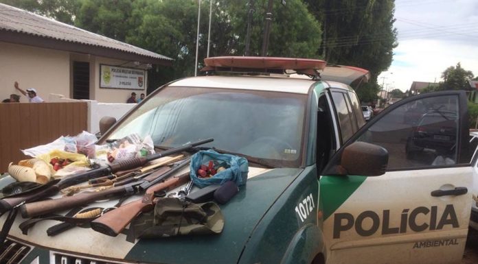Crime Ambiental em Clevelândia