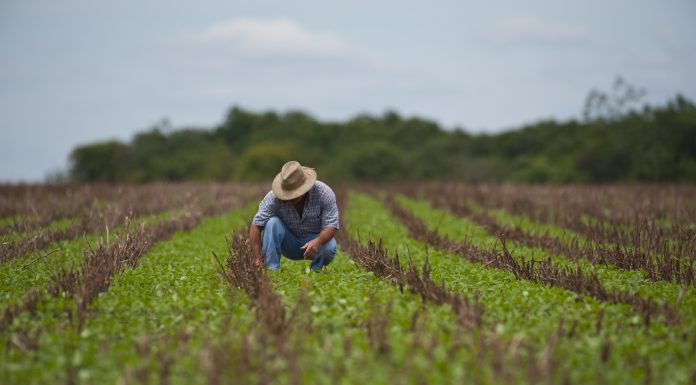 Ladrões roubam 21 mil Da residência de um Agricultor