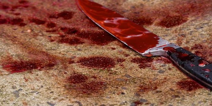 Ônibus de sacoleiros é assaltado na Campina da Alegria na BR-153;