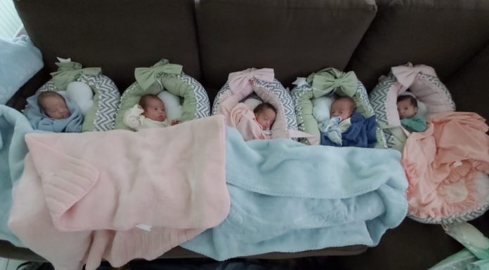 Quíntuplos já estão em Chopinzinho