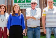 Paraná não tem mais data-limite para plantio de soja safrinha