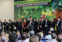 Governo do Paraná lança programa inédito para estimular a produção de uvas