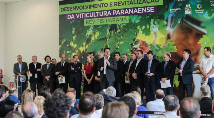 Governo do Paraná lança programa inédito para estimular a produção de uvas
