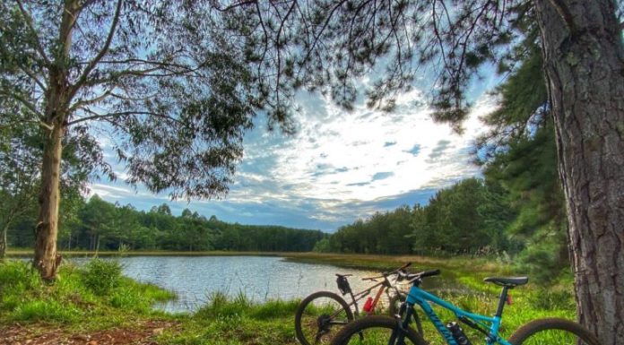 Rota das Araucárias mostrará as belezas de Clevelândia (PR)