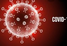 UM ANO DE PANDEMIA: O CAOS INSTAURADO  | Crônica de Rodrigo Antonio Toigo