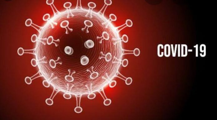 UM ANO DE PANDEMIA: O CAOS INSTAURADO  | Crônica de Rodrigo Antonio Toigo